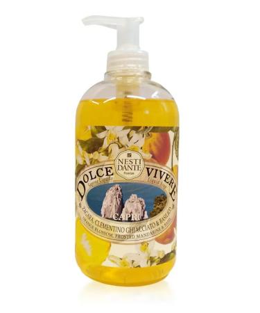 Nesti Dante-Writing Capri soap 500 ml - Buy Online on GoSupps.com