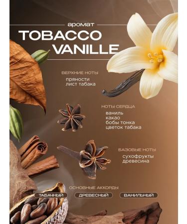 SYNERGETIC A perfumed hand soap for hand tobacco-vanil 500ml - Buy Online on GoSupps.com