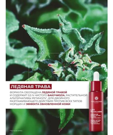 Yves Rocher Facial serum from wrinkles - Buy Online on GoSupps.com
