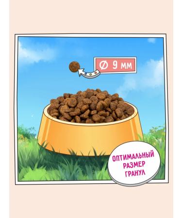 Zillii Dry food for dogs of small rocks 4 kg - Buy Online on GoSupps.com