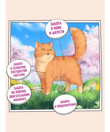 Zillii Dry food for cats living in room 4 kg - Buy Online on GoSupps.com