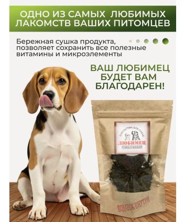 Favorite Beef handle scar - Buy Online on GoSupps.com