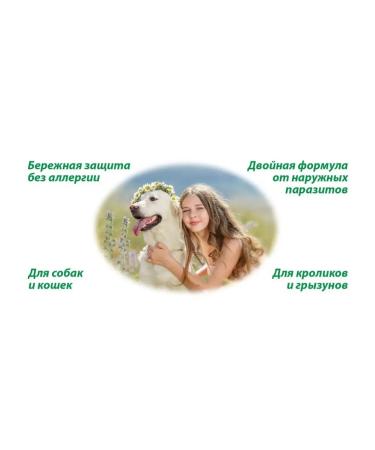 Neoterica Catteen collar for cats of kittens from parasites from fleas - Buy Online on GoSupps.com