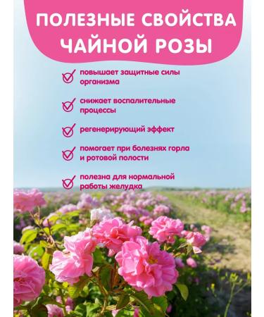 Herbs of the Crimean Mountains Tea in herbal bags with a Crimean rose 20 pcs our tea - Buy Online on GoSupps.com