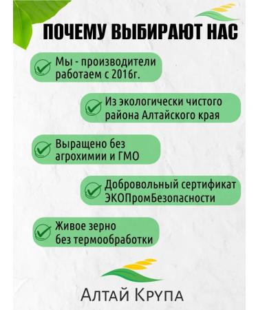 AltaiKrupaRF Oats Golorenny for germination 2 kg - Buy Online on GoSupps.com