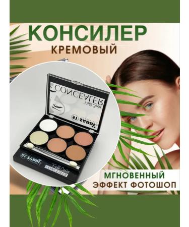 Korean cosmetics and skincare discounts Concealer corrector for makeup of the contour for the face 01