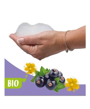 beaphar Bio-aloe vera-blackcurrant shampoo - Buy Online on GoSupps.com