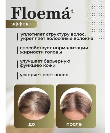 Phloema Shampoo - balance for hair and oily skin 500 ml - Buy Online on GoSupps.com