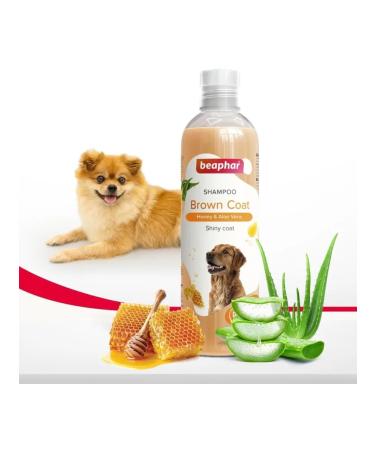 beaphar Beafar shampoo for brown wool - Buy Online on GoSupps.com