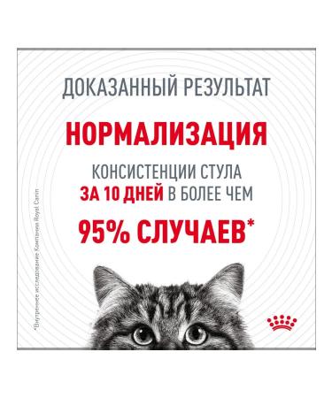 ROYAL CANIN Wet digest car for cats in sauce 85 g 28 pcs - Buy Online on GoSupps.com