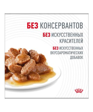 ROYAL CANIN Wet digest car for cats in sauce 85 g 28 pcs - Buy Online on GoSupps.com