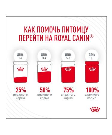 ROYAL CANIN Wet digest car for cats in sauce 85 g 28 pcs - Buy Online on GoSupps.com