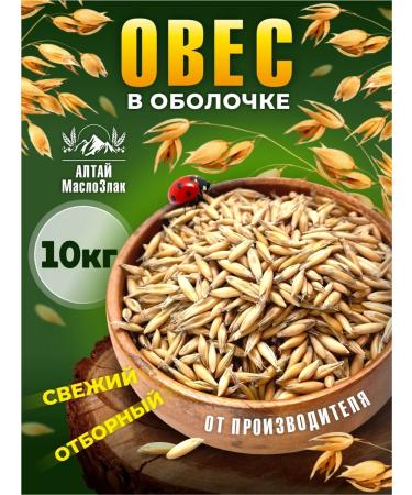Altai Oil and Cereals Oats for brewing and germinating 10 kg