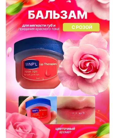 New Year's gift Lip balm cosmetic set gift 4 pcs - Buy Online on GoSupps.com