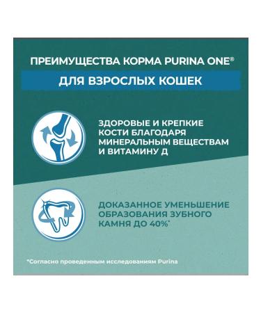 PURINA ONE Dry food for adult cats spirulina 680g - Buy Online on GoSupps.com