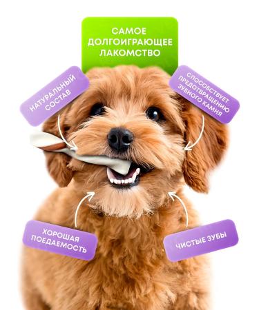 Country delicacies Dog delicacy set 4 pcs - Buy Online on GoSupps.com