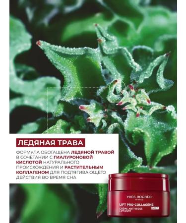 Yves Rocher Night Cream from wrinkles with a lifting effect 50 ml - Buy Online on GoSupps.com