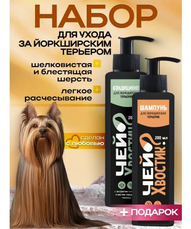 Whose tail Shampoo and air conditioning for Yorkshire terriers