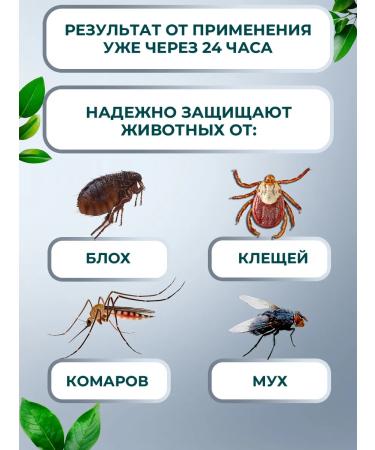 BioDoctor Drops from fleas and ticks for cats and dogs of small species 3 ml - Buy Online on GoSupps.com