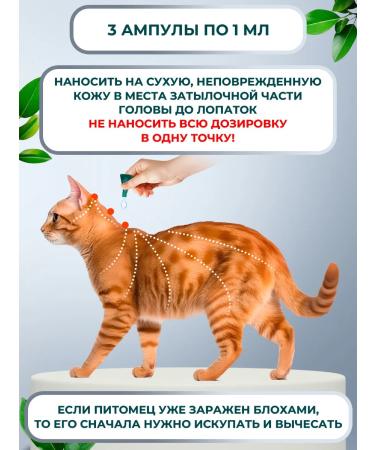 BioDoctor Drops from fleas and ticks for cats and dogs of small species 3 ml - Buy Online on GoSupps.com