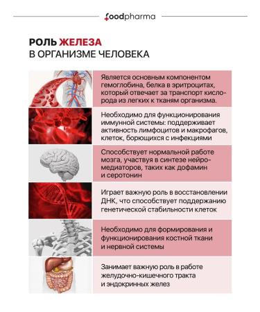 Foodpharma HEALAT ITOL with vitamins C and B3 60 capsules - Buy Online on GoSupps.com