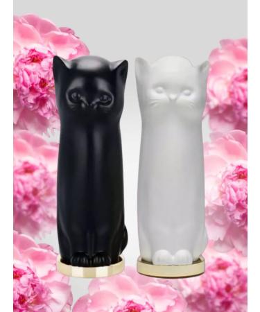 AmoreCosmetic Lip balm transparent cat - Buy Online on GoSupps.com