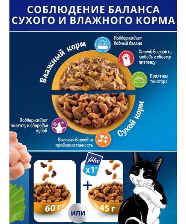 Dry Felix food with chicken 6.5 kg - Buy Online on GoSupps.com