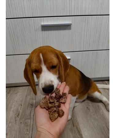 chewing dog Light beef 200g treat for dogs delicious - Buy Online on GoSupps.com