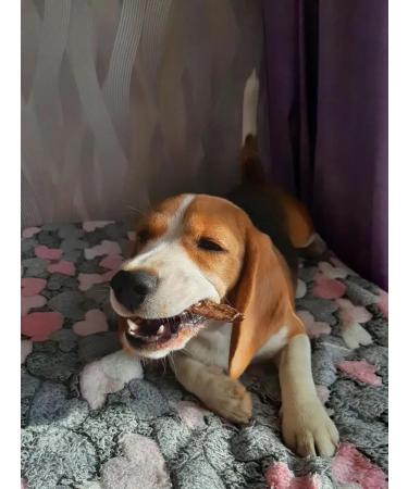 chewing dog Light beef straw 200g treat for dogs delicious - Buy Online on GoSupps.com