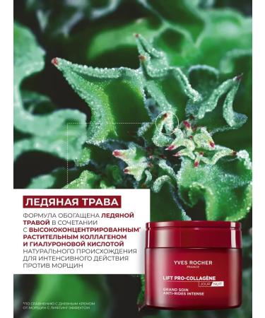 Yves Rocher Universal wrinkle cream - Buy Online on GoSupps.com