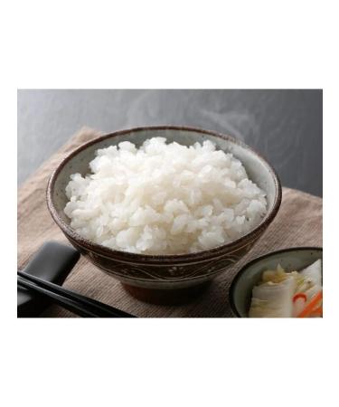 Shirataki Shiratika rice 340g - Buy Online on GoSupps.com