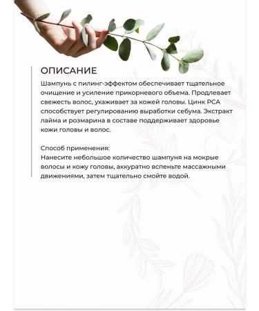 Tashe Hair shampoo deep cleansing with a peeling effect - Buy Online on GoSupps.com