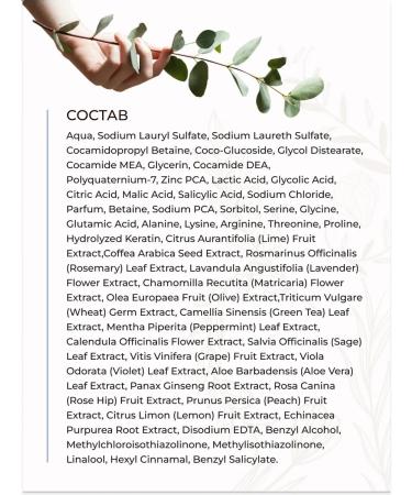 Tashe Hair shampoo deep cleansing with a peeling effect - Buy Online on GoSupps.com