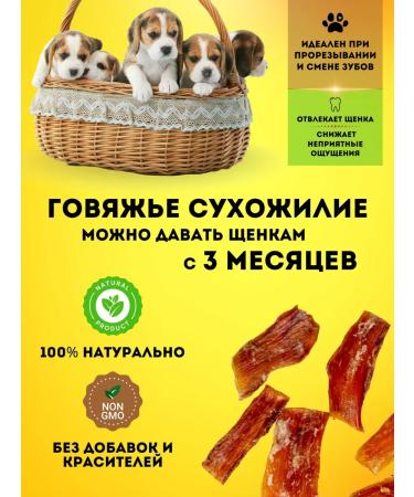 Hashtag Tendon beef dried treat for dogs 100 grams - Buy Online on GoSupps.com