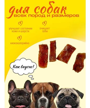 Hashtag Tendon beef dried treat for dogs 100 grams - Buy Online on GoSupps.com