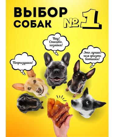 Hashtag Tendon beef dried treat for dogs 100 grams - Buy Online on GoSupps.com