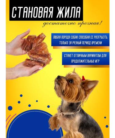 Hashtag Tendon beef dried treat for dogs 100 grams - Buy Online on GoSupps.com