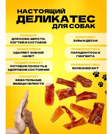 Hashtag Tendon beef dried treat for dogs 100 grams - Buy Online on GoSupps.com