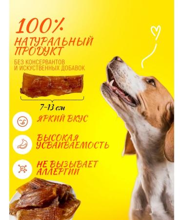 Hashtag Tendon beef dried treat for dogs 100 grams - Buy Online on GoSupps.com