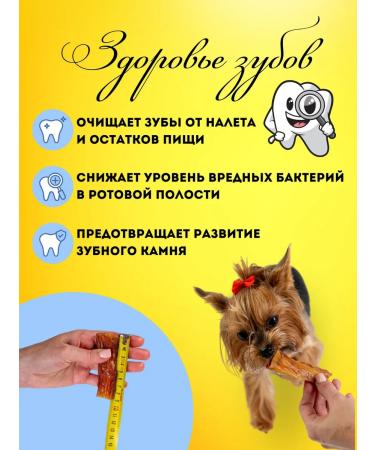 Hashtag Tendon beef dried treat for dogs 100 grams - Buy Online on GoSupps.com