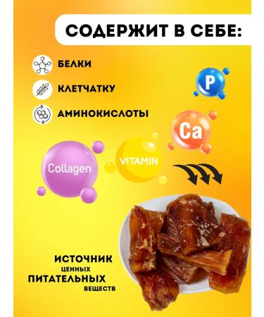 Hashtag Tendon beef dried treat for dogs 100 grams - Buy Online on GoSupps.com