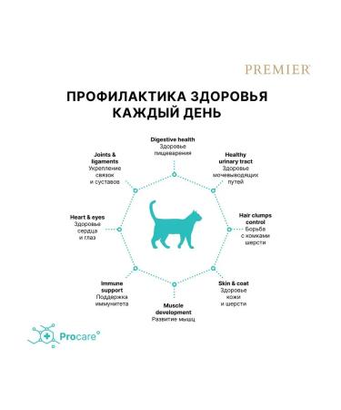 PREMIER Dry food for cats lambs of a low -grain turkey 2 kg - Buy Online on GoSupps.com