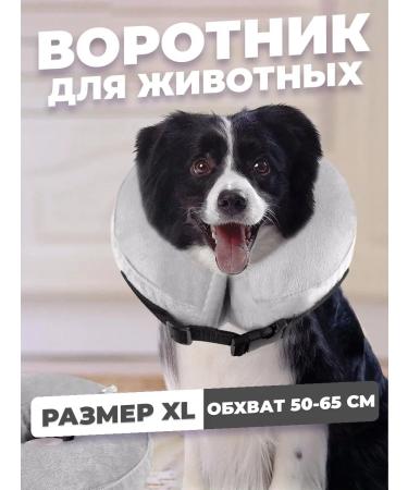 wikiVET Collar for cats and dogs soft inflatable