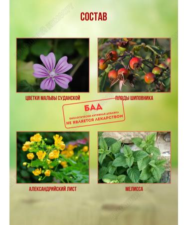 Super Slim Phytochai for weight loss exotic 30 filter packages 3 units - Buy Online on GoSupps.com