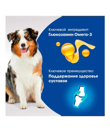 PERFECT FIT A treat for the joints of medium and large dogs of beef 130g - Buy Online on GoSupps.com