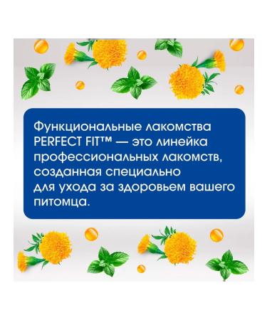 PERFECT FIT A treat for the joints of medium and large dogs of beef 130g - Buy Online on GoSupps.com