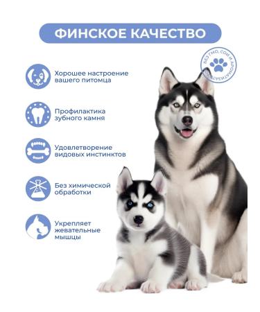 Jarvi elaman Goods for dogs and puppies. Zhiva straw 30 g x 3 pcs - Buy Online on GoSupps.com