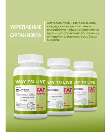 WAY TO LIVE Fat burner for weight loss - Buy Online on GoSupps.com