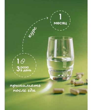 WAY TO LIVE Fat burner for weight loss - Buy Online on GoSupps.com