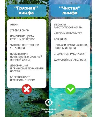 THE RIGHT HERBS Lymphatic divany tea collection of herbal for weight loss 10*10g - Buy Online on GoSupps.com